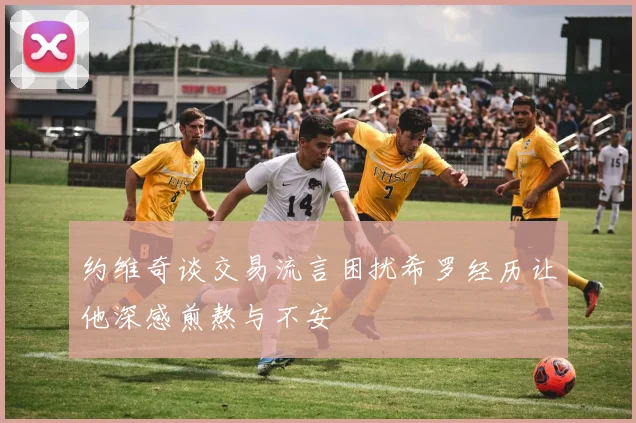 约维奇谈交易流言困扰希罗经历让他深感煎熬与不安